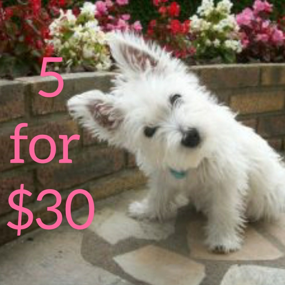 5 for $30!!!